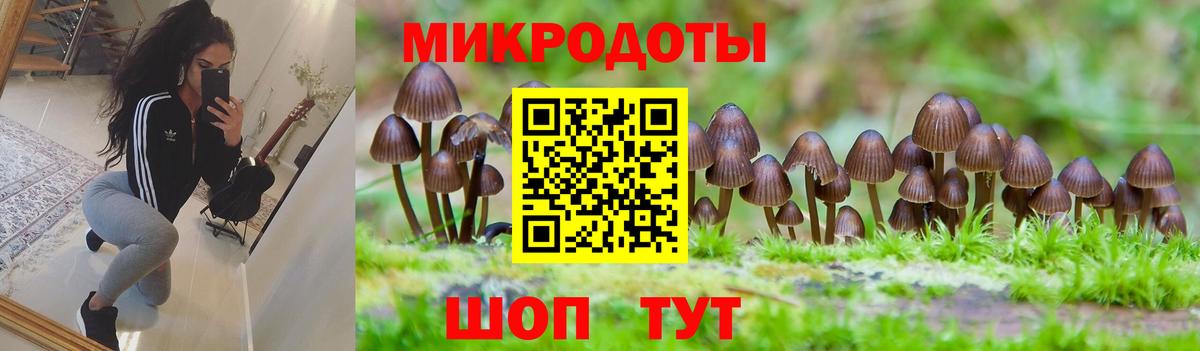 ГАШ Щёлково